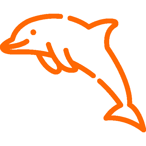 Nivel 5 Delfín Naranja