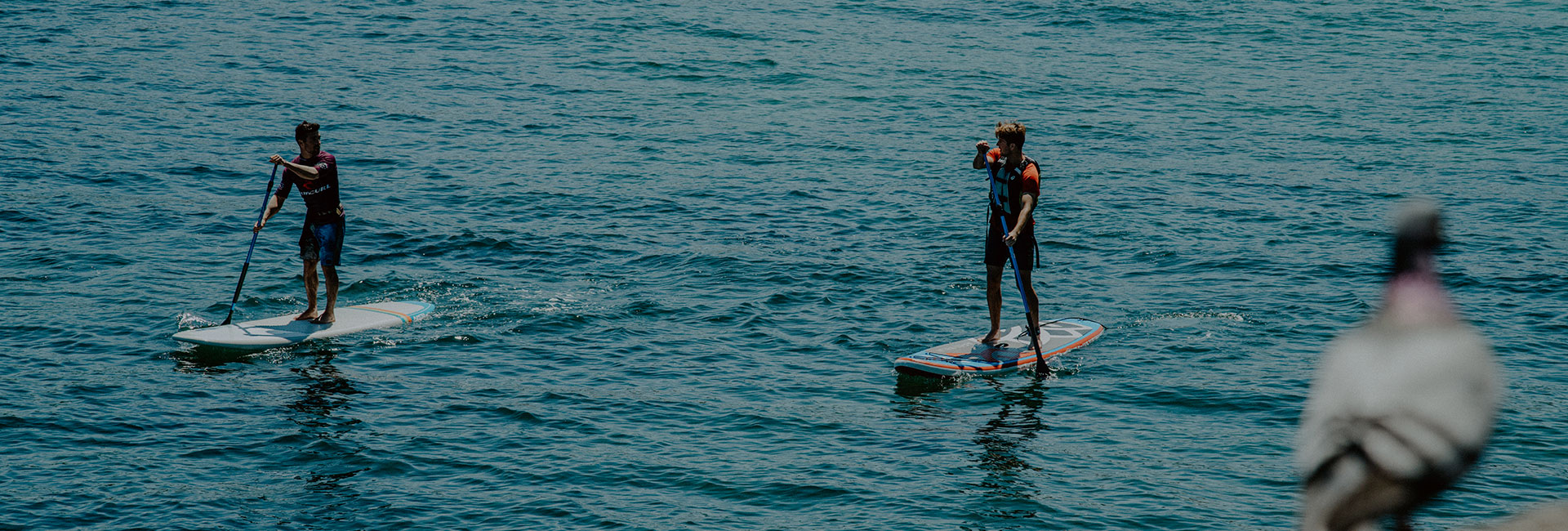 Escuela de SUP y Kayak Adultos Real Club de Tenis de San Sebastián